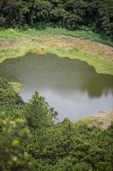 Crater of the volcano with green forest and a lake in Mauritius