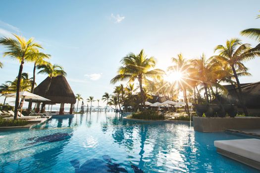 Swimming pool among palm trees on a tropical island