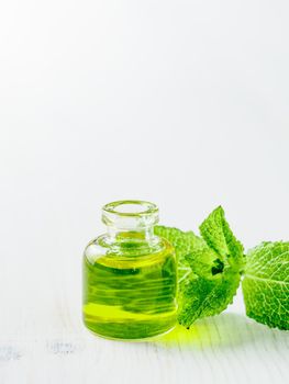Melissa or mint oil with green leaves, copyspace