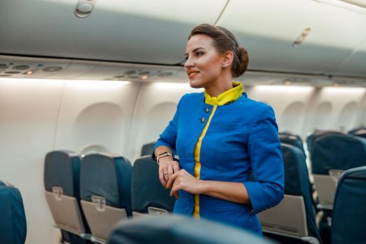 Smiling flight attendant standing in aircraft passenger cabin