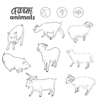 Farm animals - sheep, pig, goat, ram, lamb. Agricultural cattle hand drawing in sketch style
