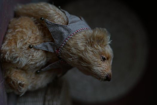 a photo of a handmade collectible teddy bear, suitable for printing in a calendar card or for inserting into a frame for delivering aesthetic pleasure in your free time