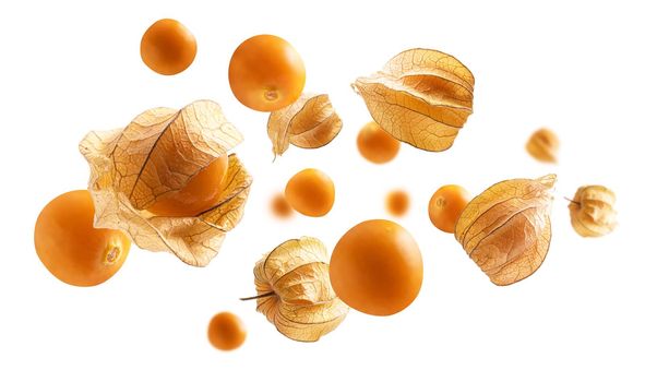 Physalis berries levitate on a white background