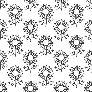 Camomile hand drawn seamless pattern. Camomile texture endless background. Plant vector icons.