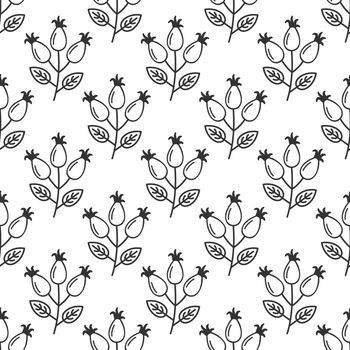 Rose hip hand drawn seamless pattern. Rosehip texture endless background. Plant vector icons.