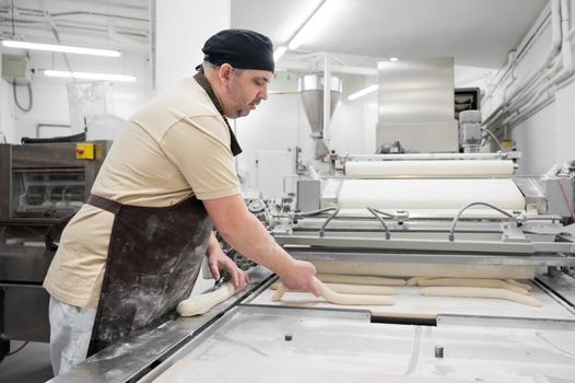 Baker working at industrial bakery preparing trays with fresh loaf.
