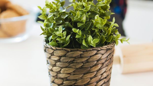 Artificial small green plant in an flower pot