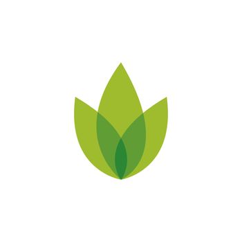 Green leaf illustration 