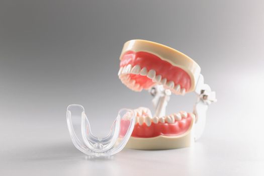 Human tooth model, teeth orthodontic dental model or human jaw, mouthpiece