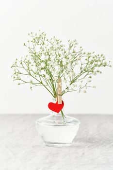 Valentine's Day. Delicate white flowers in vase. Red felt heart - symbol of love