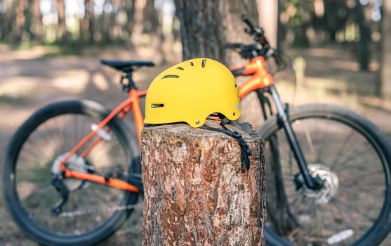 Bicycle helmet on stump in forest