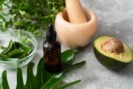 Face serum next to aloe vera, walnut, avocado and palm leaf. Professional skin care, natural cosmetics concept