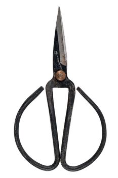Old fashioned scissors