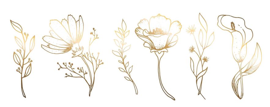 Set, golden rose flowers, chamomile, poppy, calla, isolated on white background. Hand drawn golden flower. For greeting cards and wedding invitations, birthday, Valentine s Day