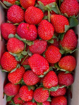 Fresh fruit, Juicy strawberry