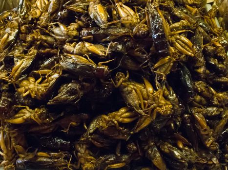 Crispy fried insects  are regional delicacies in many Asian countries like Thailand.