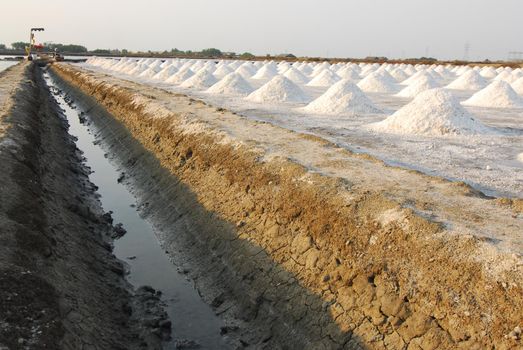 Naklua Mass of salt in salt seaside farm, Petchaburi Province Thailand Asia