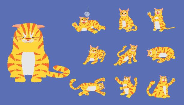 set of the lovely yellow and orange striped cat flop and playing activity on pastel blue color background. vector illustration eps10