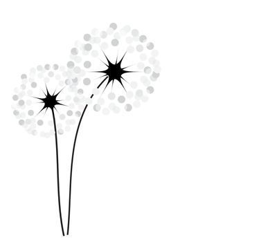 Abstract dandelion background  vector illustration