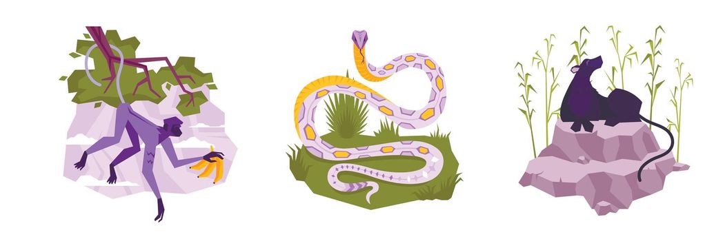 Set with three isolated compositions of flat tropical plants and monkey with bananas snake and panther vector illustration
