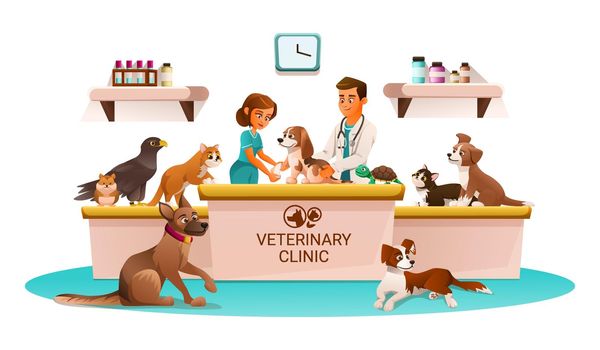 Veterinary clinic marketing flyer advertisement cartoon composition nurse and veterinarian with pets at reception desk vector illustration