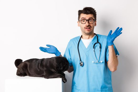 Veterinarian doctor intern in scrubs shrugging, confused how to examine dog, pug lying on table, white background