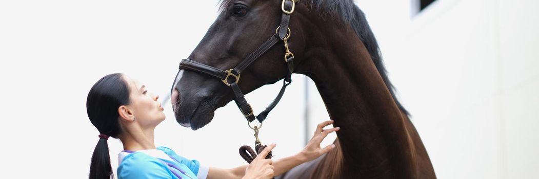 Veterinarian doctor performs physical examination of horse neck