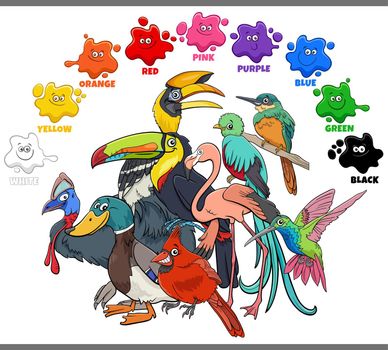 basic colors for children with group of colorful birds