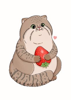 Cute little manul, cat with red strawberry