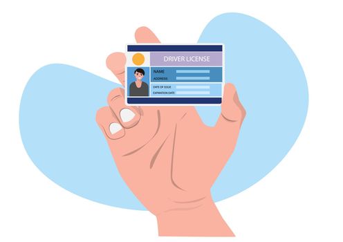 Close-up photo of a driver's license holder Driver's ID card with photo vector illustration in flat style