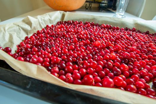 Sheet lined with paper and ripe cranberries