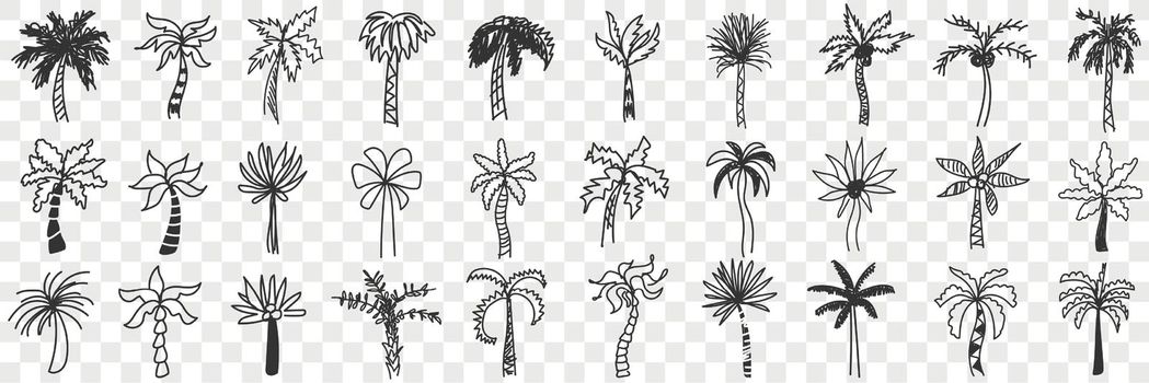Exotic palm trees doodle set