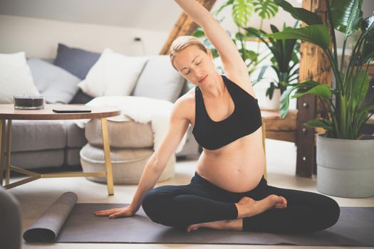 Young beautiful pregnant woman training yoga at home in her living room. Motherhood, pregnancy, healthy lifestyle and yoga concept