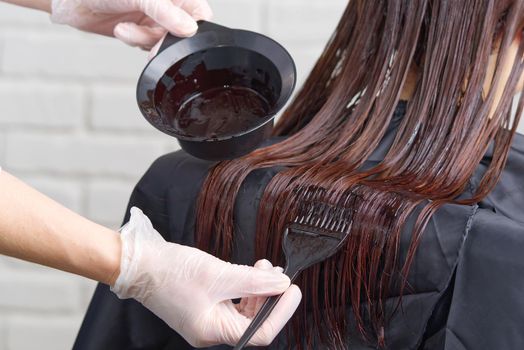 Young female hairdressed hands dyeing long hair to beautiful girl. Barber hair dye is applied with a brush