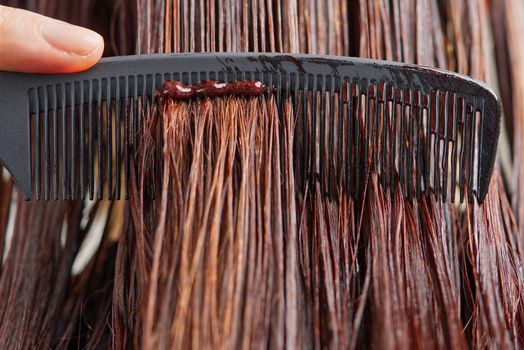 Young female hairdressed hands dyeing long hair to beautiful girl. Barber hair dye is applied with a brush