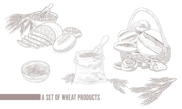 Vintage set of grain products