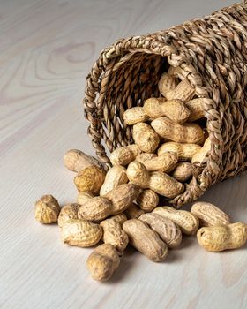 Shelled peanuts in a small wicker basket on a white background. Peanuts full from a wicker basket. Peanuts spill out of a wicker basket.