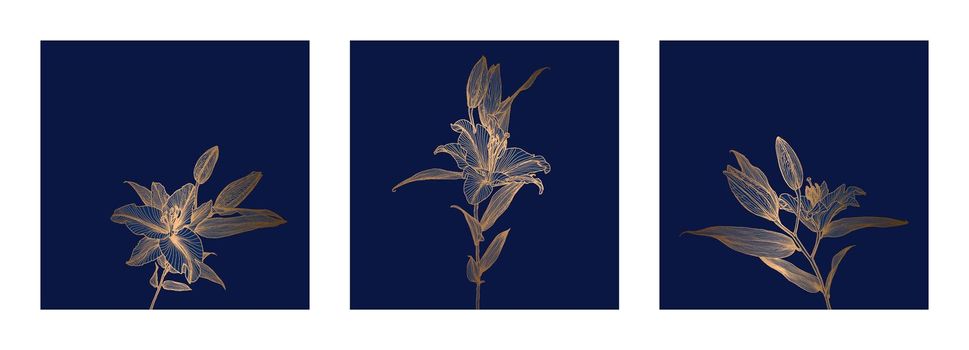 A set of frames of lily flowers drawings with bronze metallic outline on deep blue