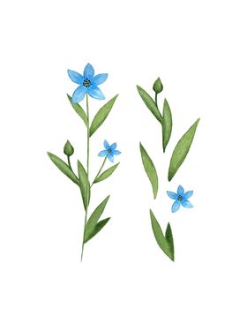 Flax Linum blue flax flower watercolor. Set of individual elements. Isolated, white background. Watercolor vector illustration.