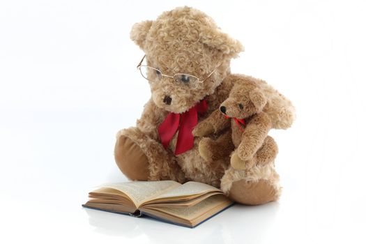 Teddy bears reading a book parenting concept