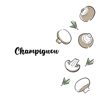 Background with champignons in hand drawn style