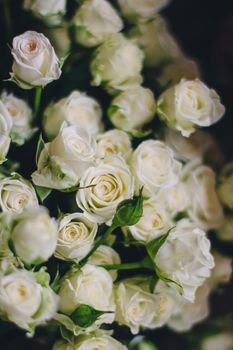 White roses close-up. Tender bouquet. Spring vibes