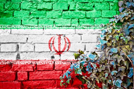 Iranian grunge flag on brick wall with ivy plant