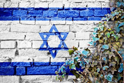 Israel grunge flag on brick wall with ivy plant