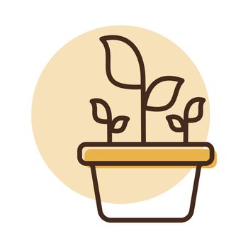 Plant in the pot vector icon