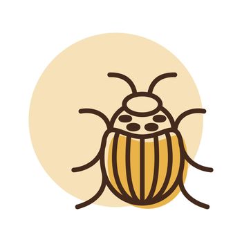 Colorado beetle vector isolated icon