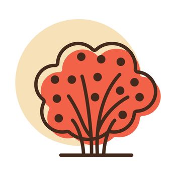 Garden bush with berries vector icon