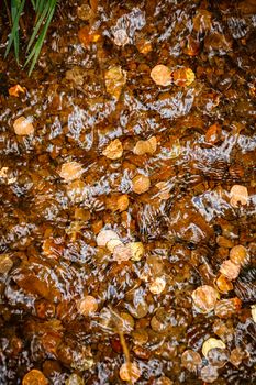 Coins at the bottom of the river