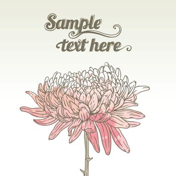 Chrysanthemum floral greeting card