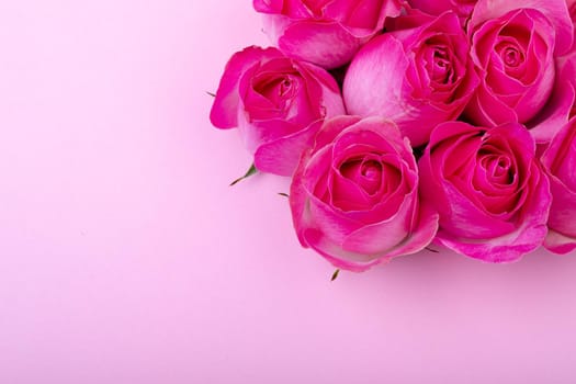 Overhead view of fresh pink rose flowers by copy space on colored background